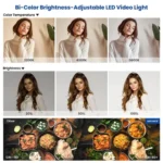 Neewer 660 LED Video Light Kit with Stands - Image 8